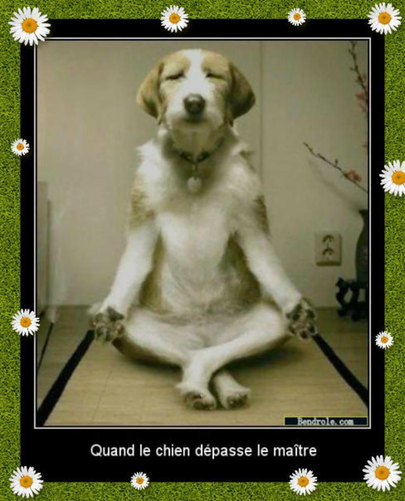 Photo Zen