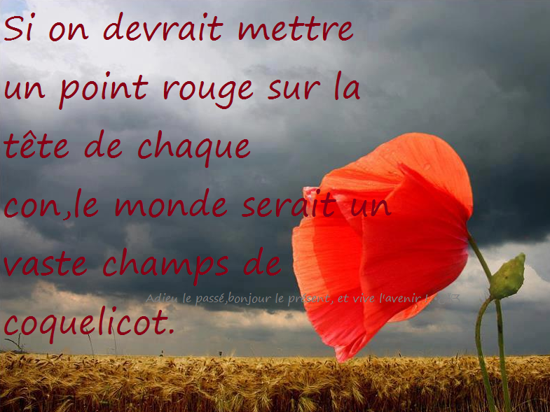 Citation